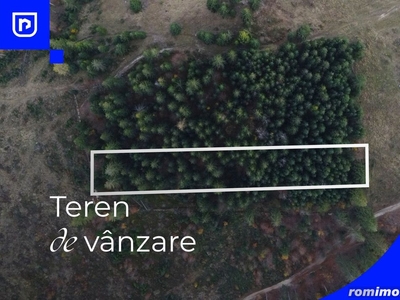 Teren situat in Frasin | BUCOVINA