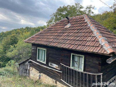 Vând Casa in Apuseni, Comuna Blajeni, Judetul Hunedoara