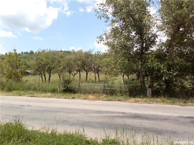 Vand teren in localitatea Drăghici