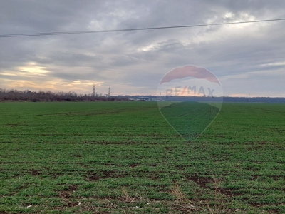 Teren Agricol, Extravilan vanzare, in Prahova, Paulesti