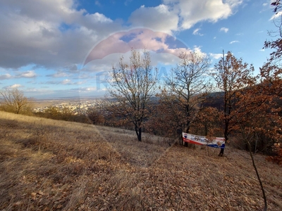 Teren Agricol, Intravilan vanzare, in Hunedoara, Deva, Cetate