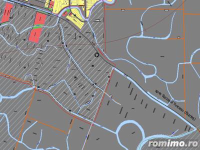 Mosnita Noua - Teren Industrial - 4,2 hectare - 25 Euro mp