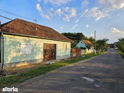 Casa la sat, zona linistita, județul Arad