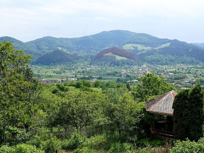 Casavila 4 camere vanzare in Neamt, Alexandru cel Bun