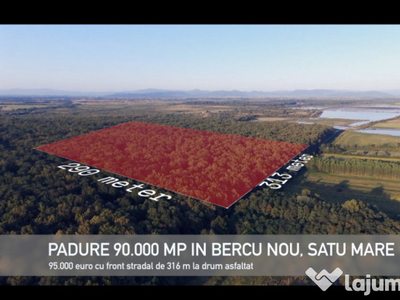 Pădure lângă Granița HU/RO/UA 90.000 mp Bercu Nou, Satu