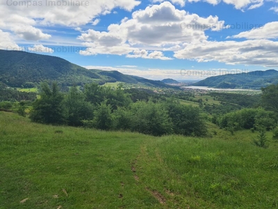 Spectacol - teren zona Bisericani - Alexandru cel Bun