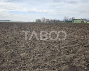 Teren extravilan agricol 8575mp utilitati acces auto Vintu de Jos Alba