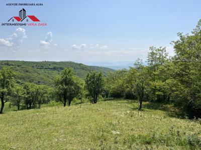 Oferta! Teren extravilan 28152 mp de vanzare la 8 km de Alba Iulia