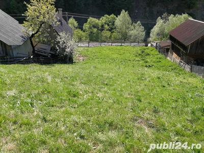 Vand teren, 1510 mp, loc de casa in comuna Lesu, jud Bistrita Nasaud