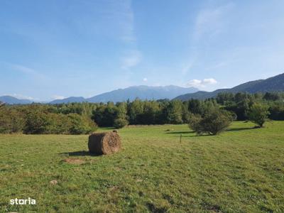 Teren intravilan cu padure si parau - Bran, Predelut