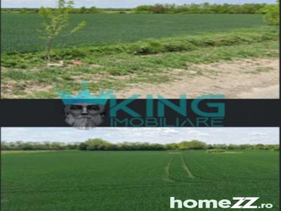 Teren Agricol | Crevedia | 95ha | Parcelare