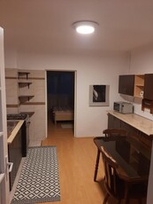 Apartament in casa, 40 mp utili, zona Someseni - Ambient