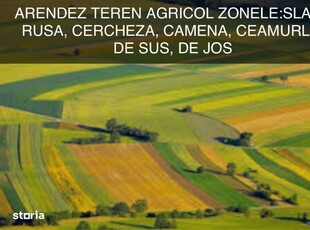 ARENDEZ Tere Agricol ofer 200-300€/ha