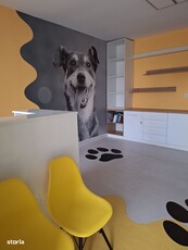 Cabinet Veterinar-spatiu comercial Copou 85mp utili