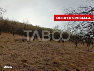 Teren extravilan parcelabil 8.500 mp pretabil cabana zona Inuri Alba