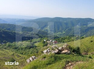 Teren extravilan pentru cabana, 3800 mp, zona-Ramet Transapuseana