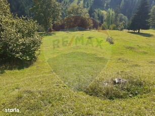 Teren Suceava / Strada Mihailet, sat Coverca, com. Panaci, Suceava