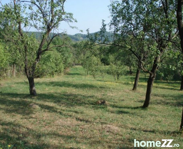 Teren Provița de Sus | Prahova