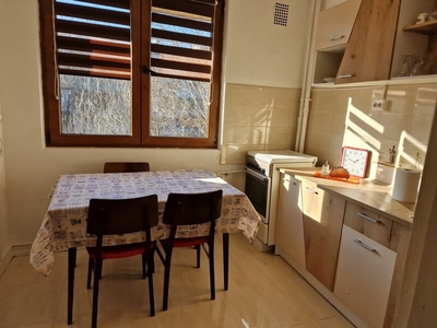 Inchiriere apartament 2 camere Berceni, chiar pe Nitu Vasile