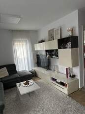 Apartament cu 2 camere de vanzare in zona Borhanci