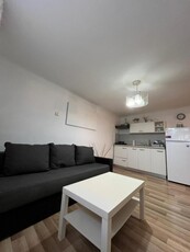 Apartament Ultracentral Piata Muzeului.