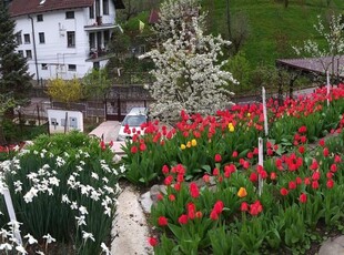 Casa in stil rustic, cu loc parcare in curte, Scheii Brasovului