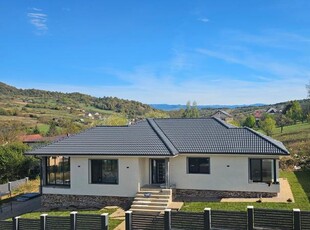 Casa individuala , strada Valea Rusului