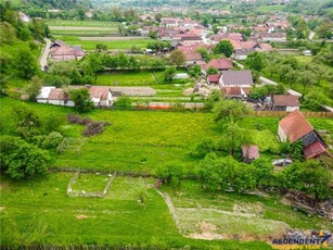 FILM! Pe domeniu de 8.500 mp teren, intravilan, casa traditionala, Central