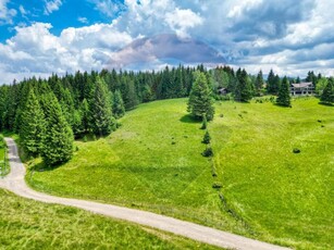 Vanzare teren Fundata - priveliste panoramica!