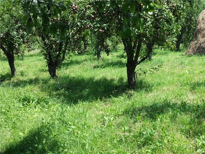 1000mp -parcele intravilan Daesti -asfalt si utlitati la drum cu 16mii euro