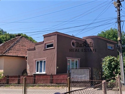 Casa cu utilitati in Criscior, jud Hunedoara.