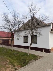 Casa Ortisoara