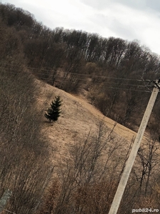 De vânzare teren cu pădure