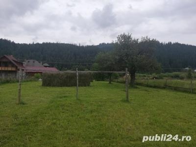 de vanzare teren intravilan 2551 mp str Cuza Voda mun. Campulung Moldovenesc