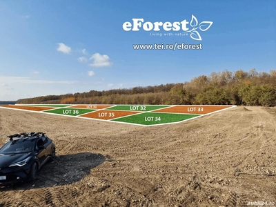 eForest 2 , terenuri la padure, 7900 euro, 800 mp
