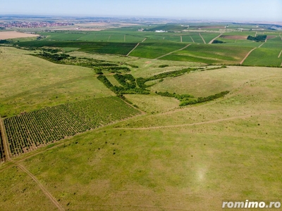 Teren arabil de 349 hectare în Buzău