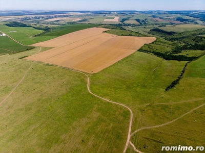 Teren arabil de 62 hectare în Prahova