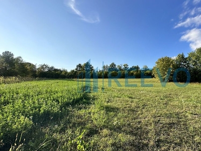 Teren cu utilități în zonă de pădure, Moinești