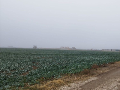 Teren intravilan de vanzare in Cornetu, Ilfov