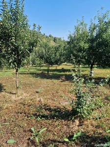 Teren intravilan de vanzare in Moigrad Porolissum. Distanta Zalau-Moigrad 10km