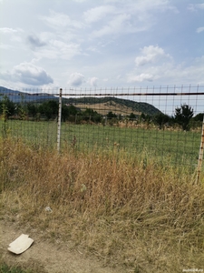 Teren intravilan în Ciritei Piatra Neamț, în suprafață de 4800 mp