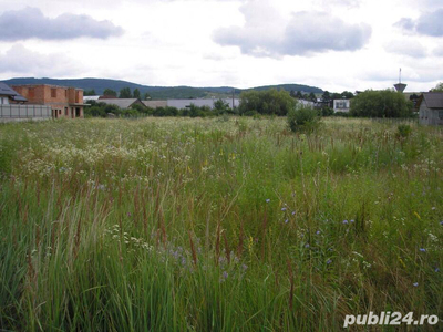 Teren intravilan zona Dedeman