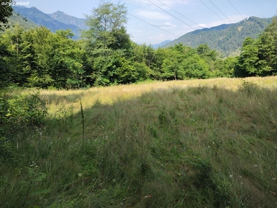 Vând teren de 3598 mp situat la limita dintre intravilan și extravilan, în Văratica, Brezoi, Vâlcea