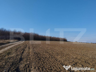 Teren 1 ha, bun fotovoltaice, 30 km de Iasi