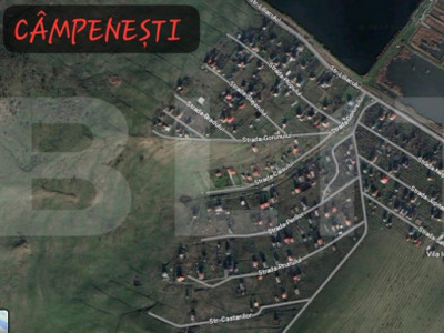 Teren, 11.600 mp, Campenesti