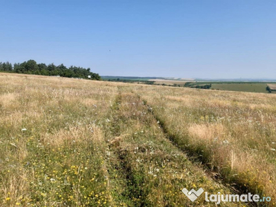 Teren 5000 mp de vanzare in satul Rusciori la 8 km de Sibiu