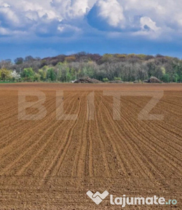 Teren agricol, 23 Ha, zona Sanmartinul Sarbesc