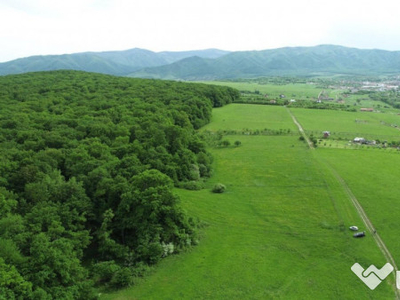 Teren de 5000 mp in Cisnadie, la doar 5 minute de Sibiu