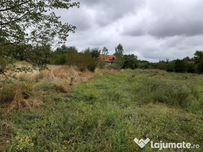 Teren extravilan, 6000 mp, in Selimbar la 5 km de Sibiu