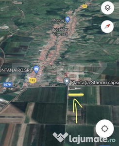 Teren extravilan, 800 mp, zona Bucerdea Vinoasă